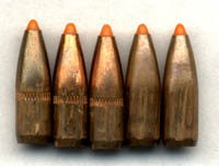 223 Ballistic Tip Rounds recovered from the DPRS intact
